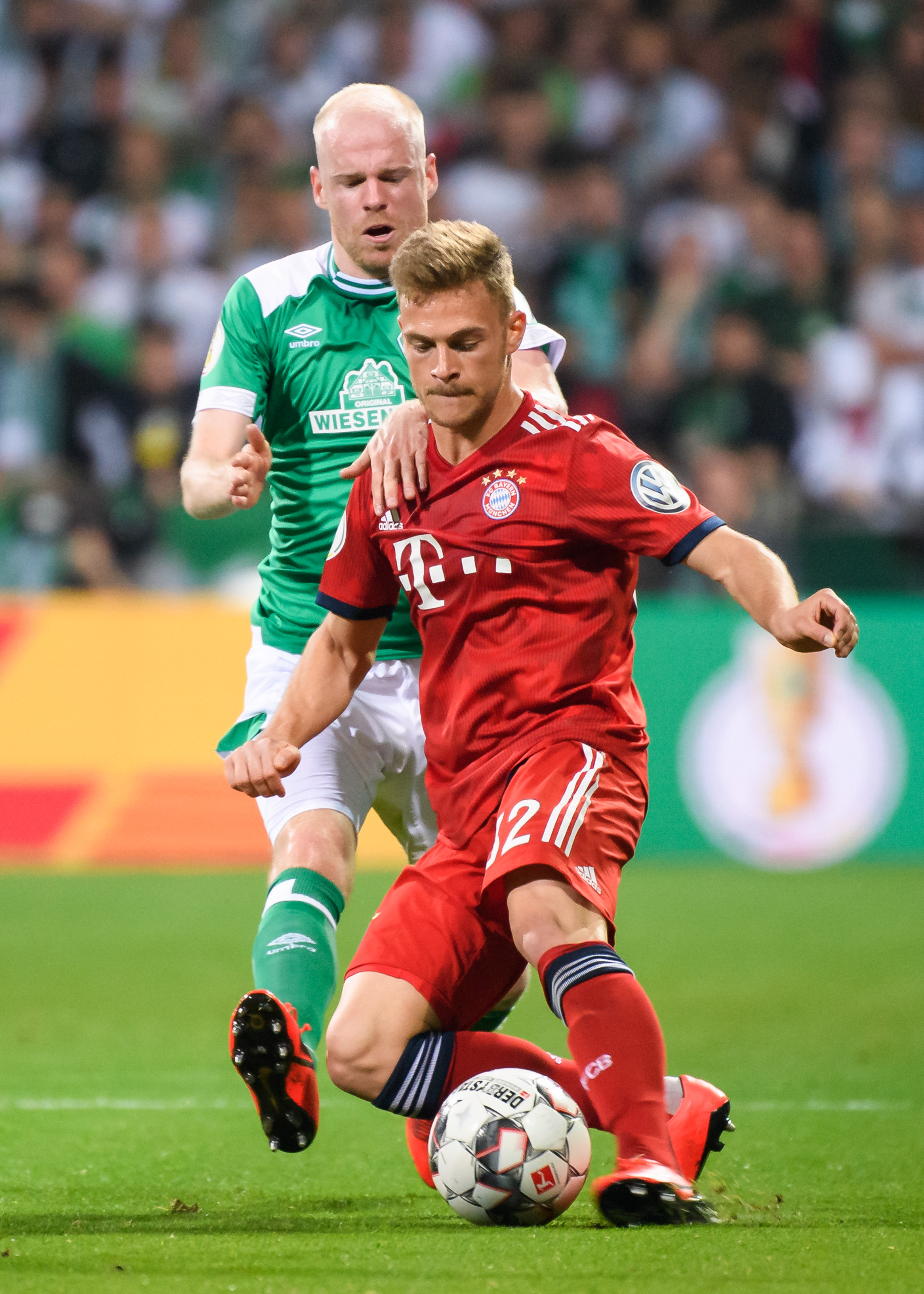 努力与追求 努力与追求