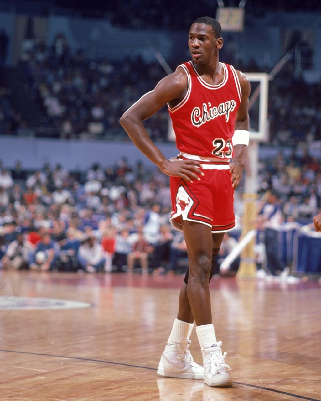 郑铮临危不 郑铮临危不