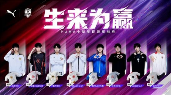 全面检验 全面检验